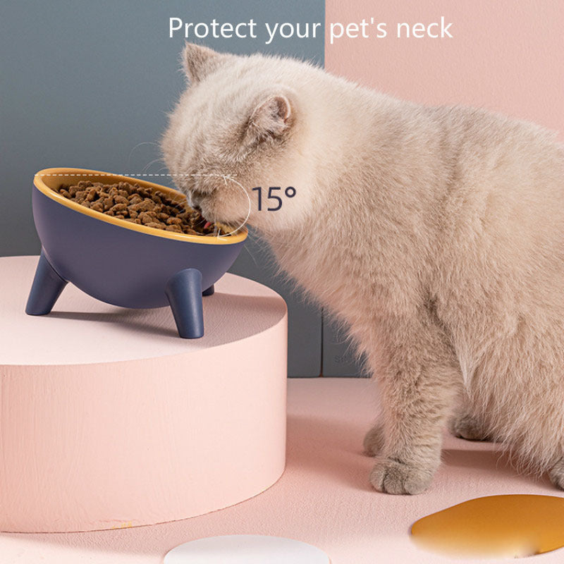 Food Bowls Dogs Bunny Rabbit