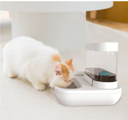 Cats Feeder Bowls Kitten Automatic