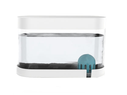 Cats Feeder Bowls Kitten Automatic