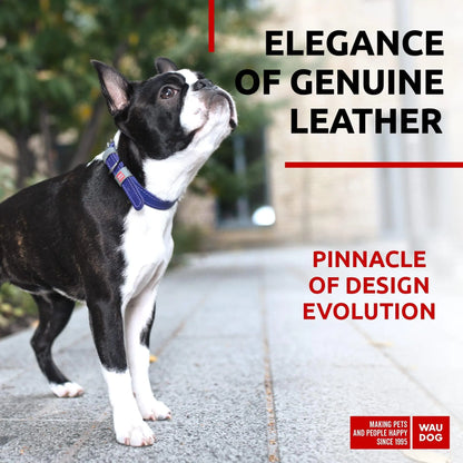 Purple Long Lasting Leather Collar